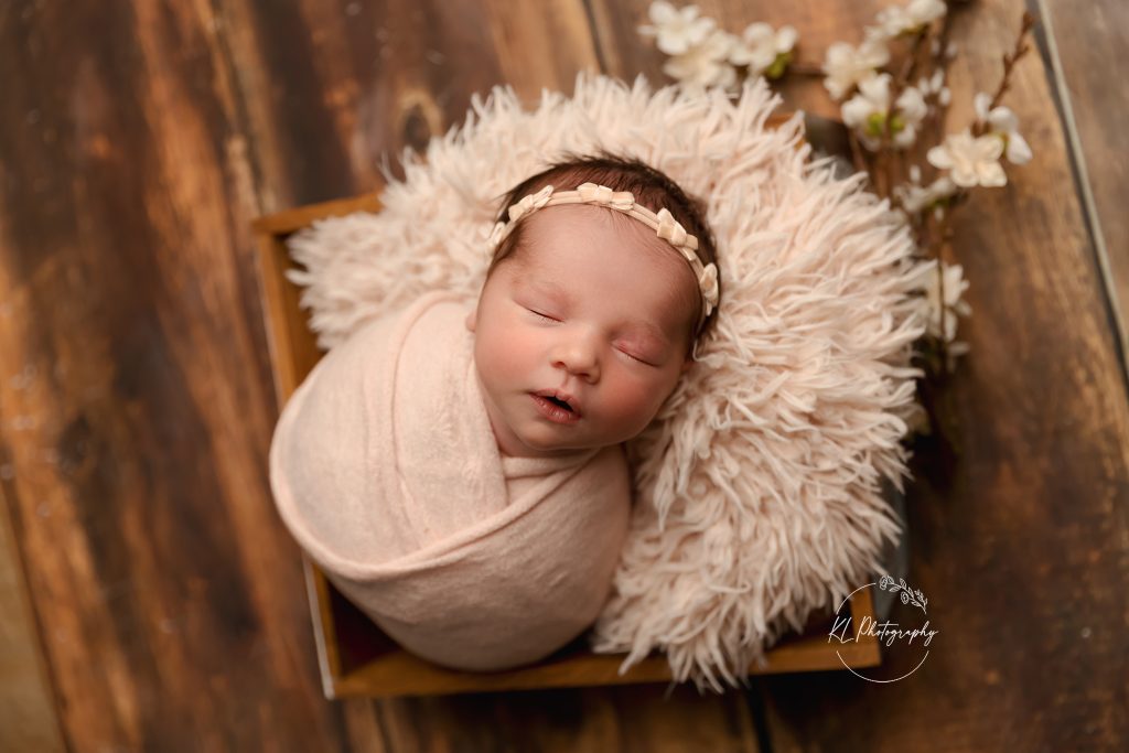 newborn photography, Vestal NY 